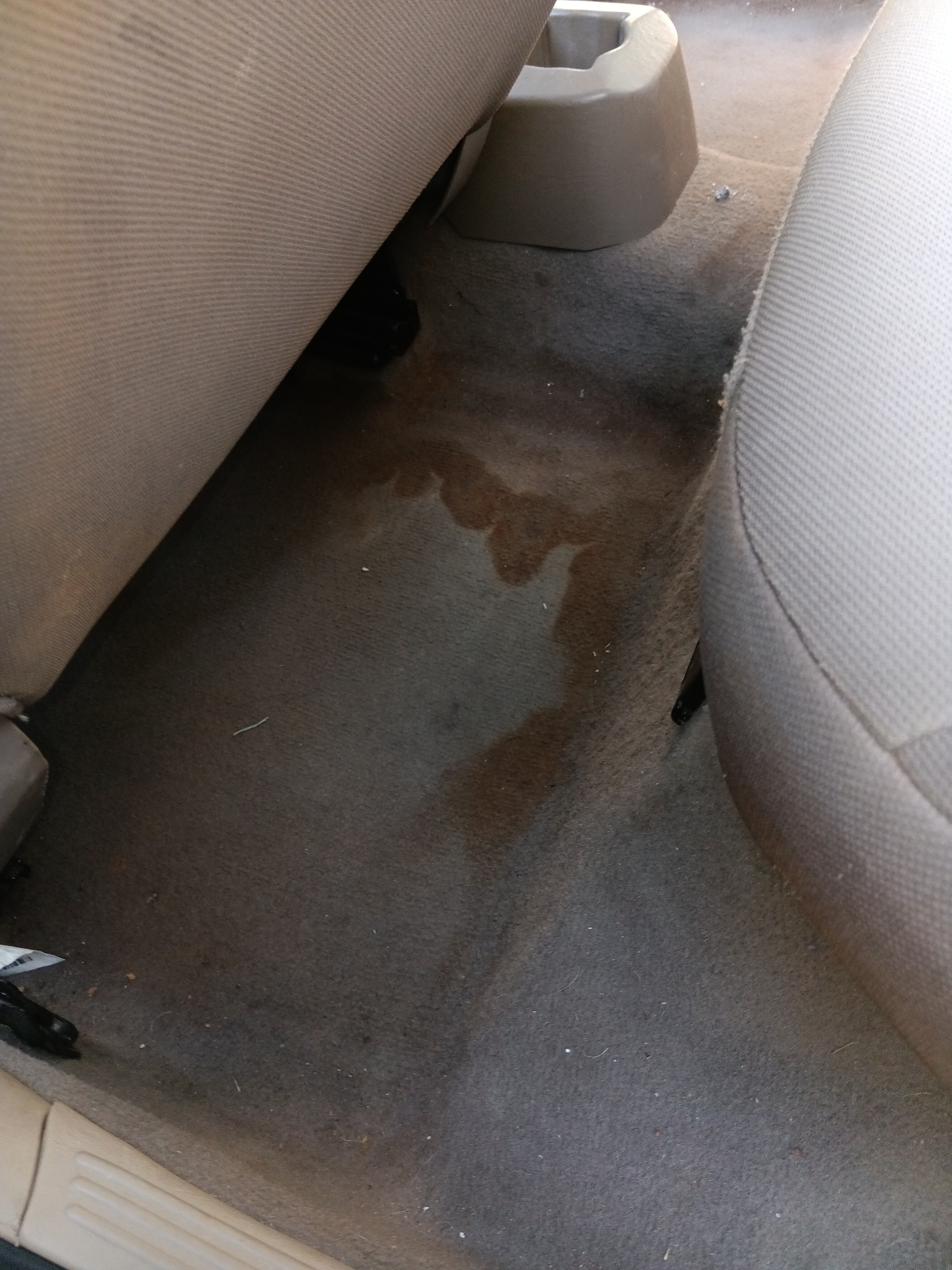 Tan Ford Focus front seats before interior detailing